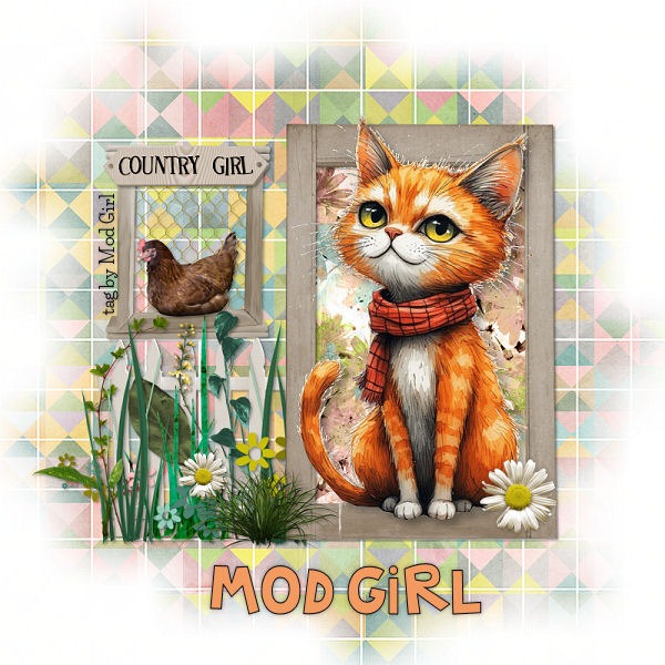 Orange Cat tag by Mod Girl
