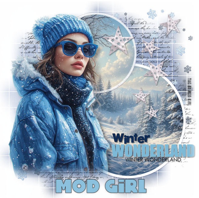 Winter Wonderland tag by Mod Girl