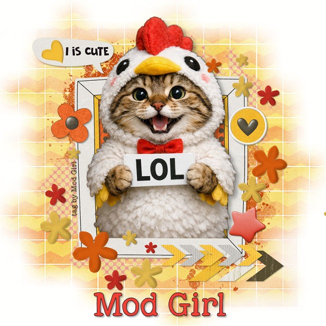 LOL Cat tag by Mod Girl